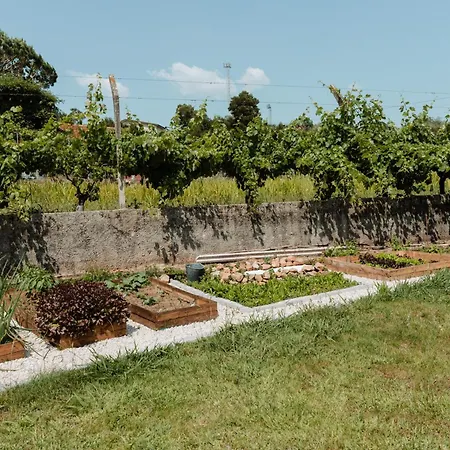 Casa Da Teresa Luso (Mealhada)