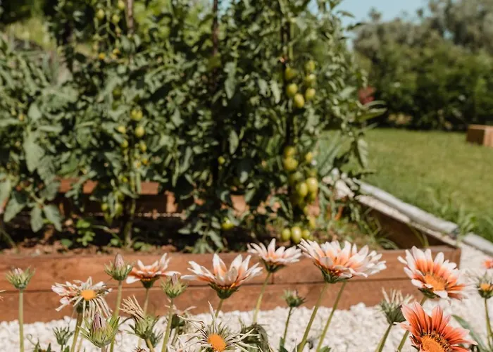 Hébergement de vacances Casa Da Teresa