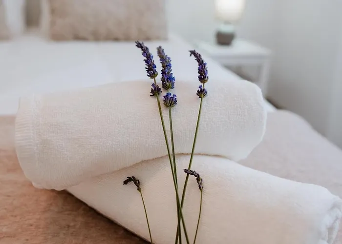 Casa Da Teresa Hébergement de vacances Luso (Mealhada)